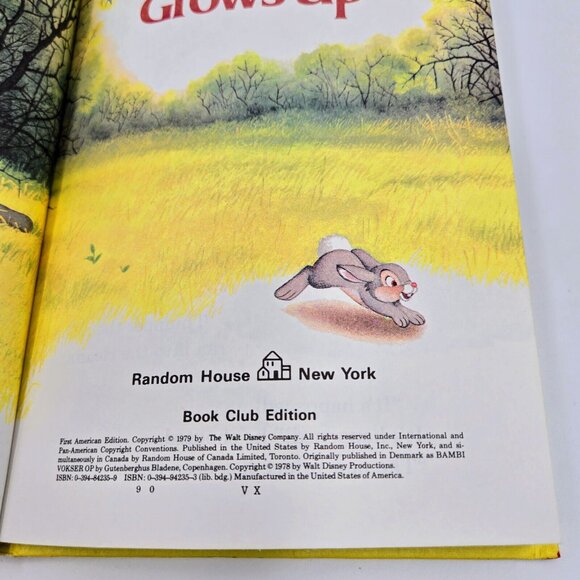 Disney Books Cinderella The Sword In The Stone Bambi Winnie The Pooh 1974 1975 - Picture 16 of 16